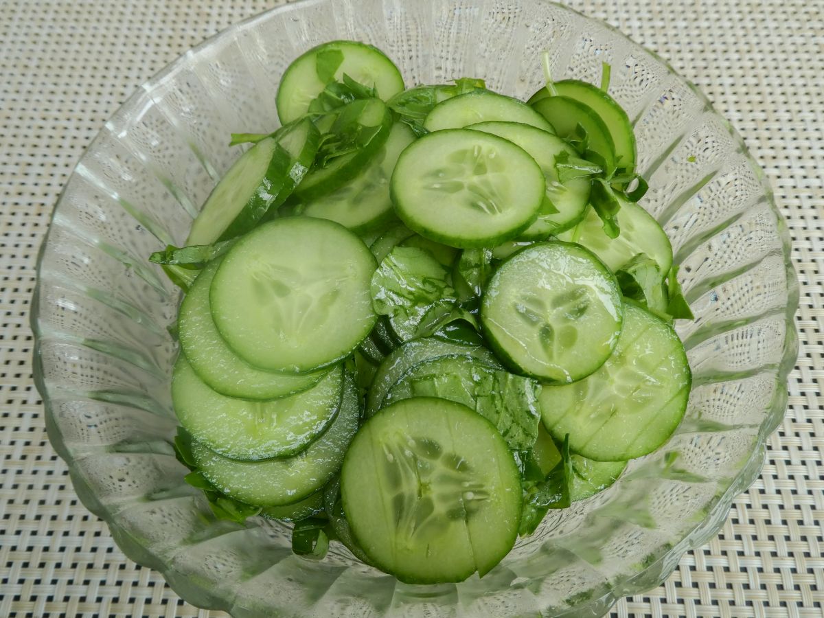 Insalata di cetrioli (komkommersalade)